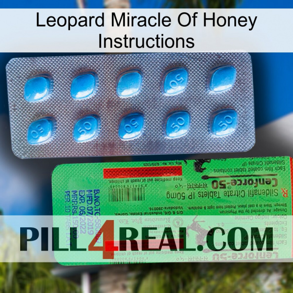 Leopard Miracle Of Honey Instructions new03.jpg